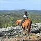 Equestrian Jobseeker Profile Photo