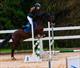 Equestrian Jobseeker Profile Photo