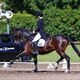 Equestrian Jobseeker Profile Photo