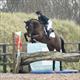 Equestrian Jobseeker Profile Photo