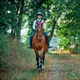 Equestrian Jobseeker Profile Photo