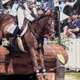 Equestrian Jobseeker Profile Photo
