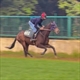 Equestrian Jobseeker Profile Photo