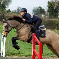 Equestrian Jobseeker Profile Photo