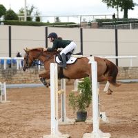 Equestrian Jobseeker Profile Photo