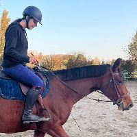 Equestrian Jobseeker Profile Photo