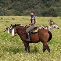 Equestrian Jobseeker Profile Photo