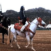 Equestrian Jobseeker Profile Photo