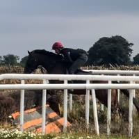 Equestrian Jobseeker Profile Photo