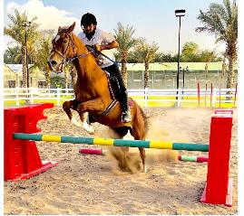 Equestrian Jobseeker Profile Photo