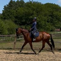 Equestrian Jobseeker Profile Photo
