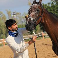 Equestrian Jobseeker Profile Photo
