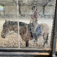 Equestrian Jobseeker Profile Photo