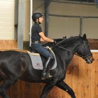 Equestrian Jobseeker Profile Photo