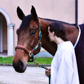 Equestrian Jobseeker Profile Photo