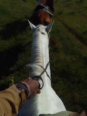 Equestrian Jobseeker Profile Photo