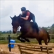 Equestrian Jobseeker Profile Photo