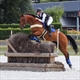 Equestrian Jobseeker Profile Photo
