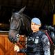 Equestrian Jobseeker Profile Photo