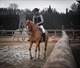 Equestrian Jobseeker Profile Photo