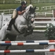 Equestrian Jobseeker Profile Photo