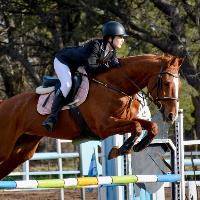 Equestrian Jobseeker Profile Photo