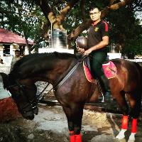 Equestrian Jobseeker Profile Photo
