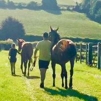 Equestrian Jobseeker Profile Photo