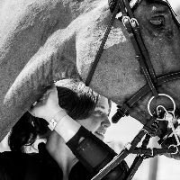 Equestrian Jobseeker Profile Photo