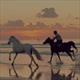 Equestrian Jobseeker Profile Photo