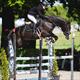 Equestrian Jobseeker Profile Photo
