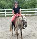 Equestrian Jobseeker Profile Photo