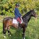 Equestrian Jobseeker Profile Photo