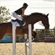 Equestrian Jobseeker Profile Photo