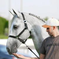 Equestrian Jobseeker Profile Photo