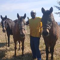 Equestrian Jobseeker Profile Photo