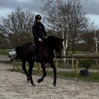 Equestrian Jobseeker Profile Photo