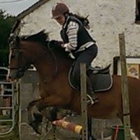 Equestrian Employer Profile Photo