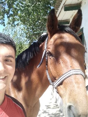 Equestrian Jobseeker Profile Photo