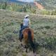 Equestrian Jobseeker Profile Photo