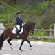 Equestrian Jobseeker Profile Photo