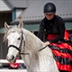 Equestrian Jobseeker Profile Photo