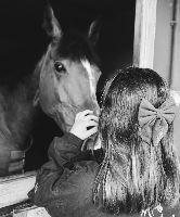 Equestrian Jobseeker Profile Photo