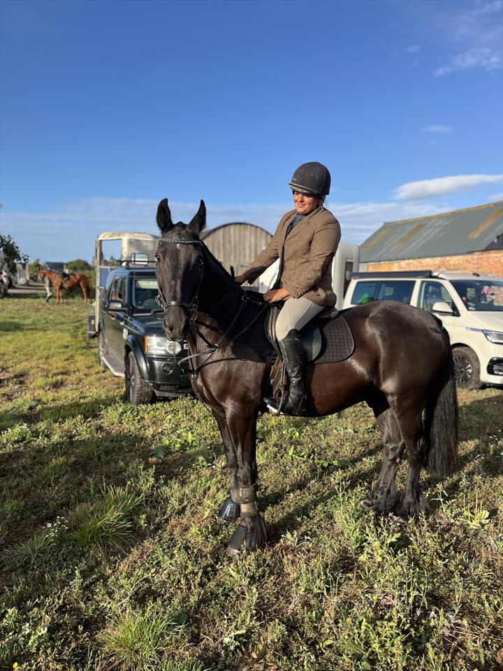 Equestrian Jobseeker Photo: