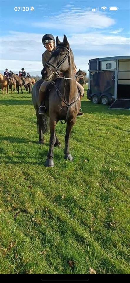 Equestrian Jobseeker Photo: