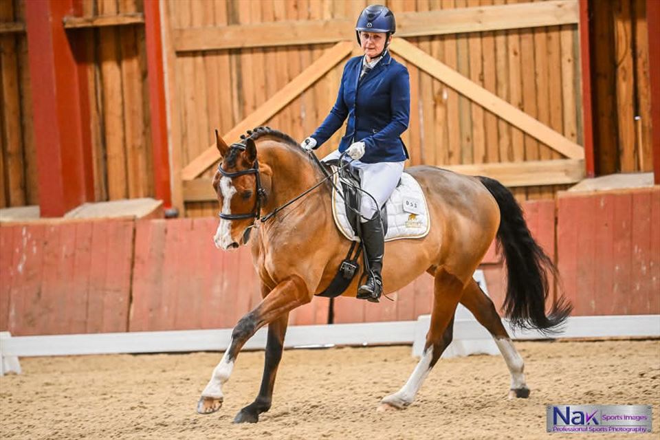 Equestrian Jobseeker Photo: