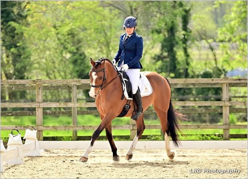 Equestrian Jobseeker Photo: