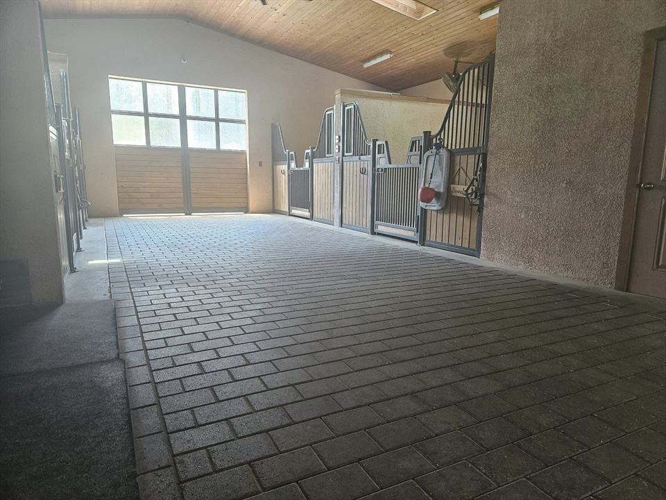 Equestrian Jobseeker Photo: