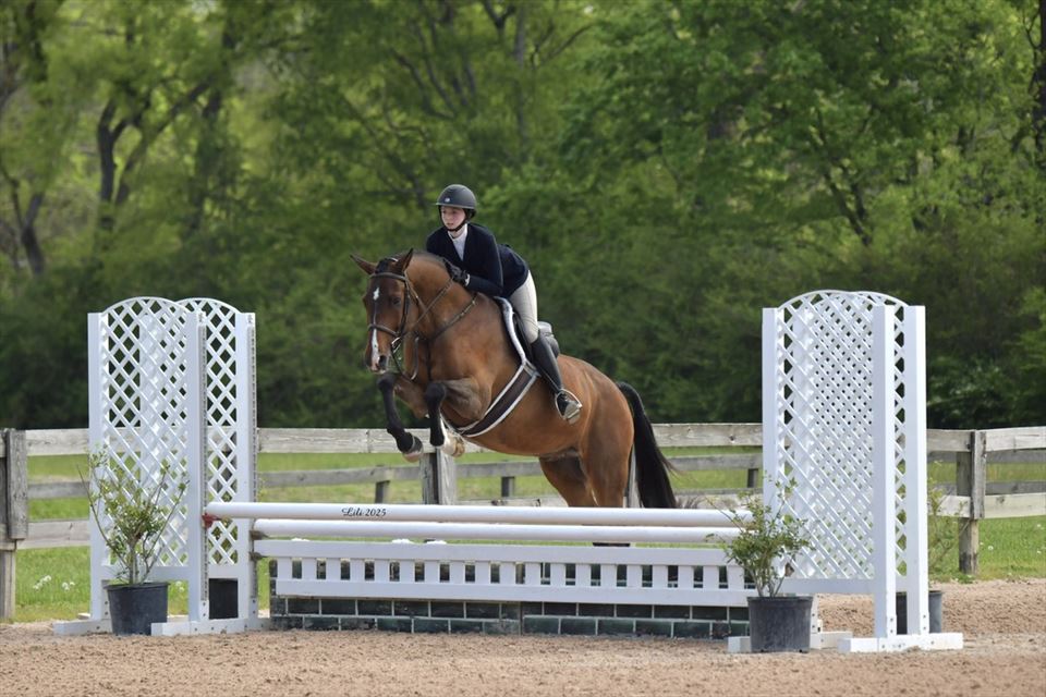 Equestrian Jobseeker Photo:
