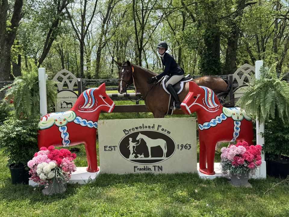 Equestrian Jobseeker Photo: